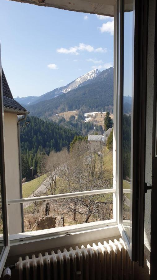 Joli Studio Chamechaude Saint-Pierre-de-Chartreuse Εξωτερικό φωτογραφία